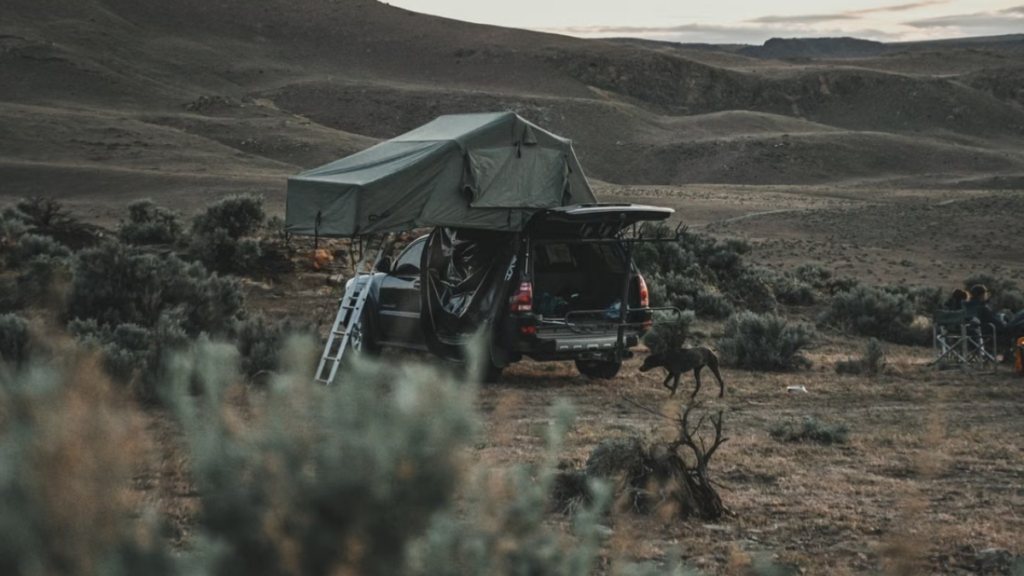 Honda Element camping setup