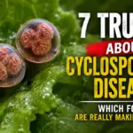 Microscopic view of Cyclosporiasis disease on lettuce leaves