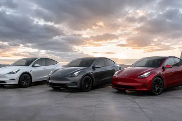 Tesla Model Y trim comparison line up