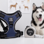 anatomical selection for dog harness body leash