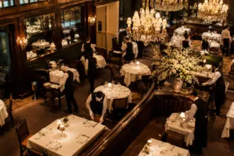 best restaurants new york luxurious dining room atmosphere