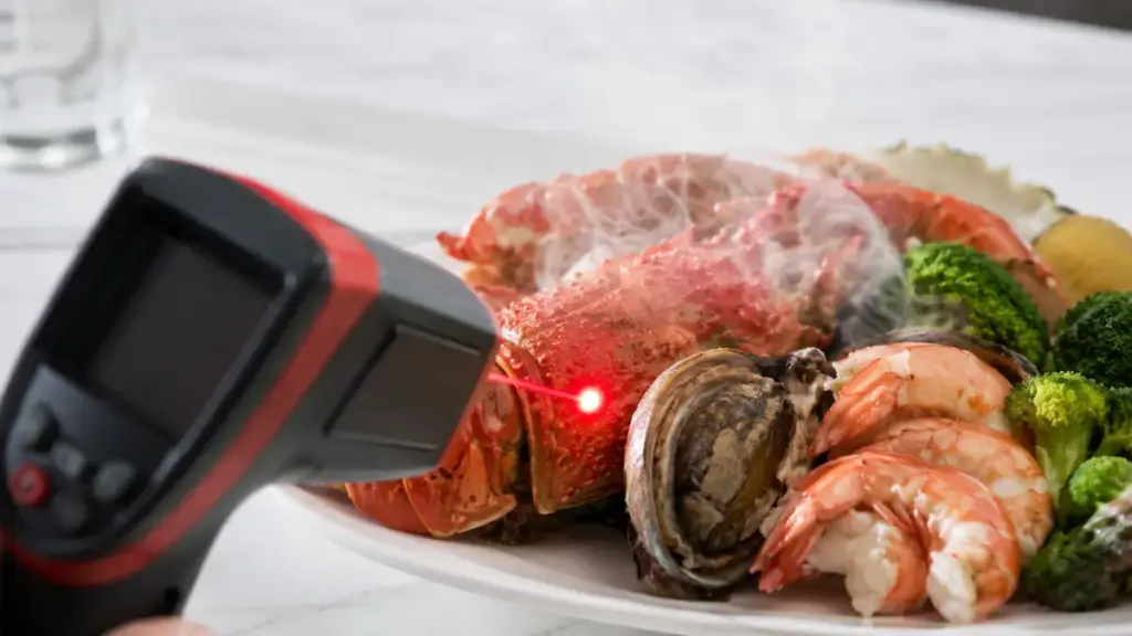checking-the-serving-temperature-of-a-luxury-seafood-dish-with-a-laser-gun
