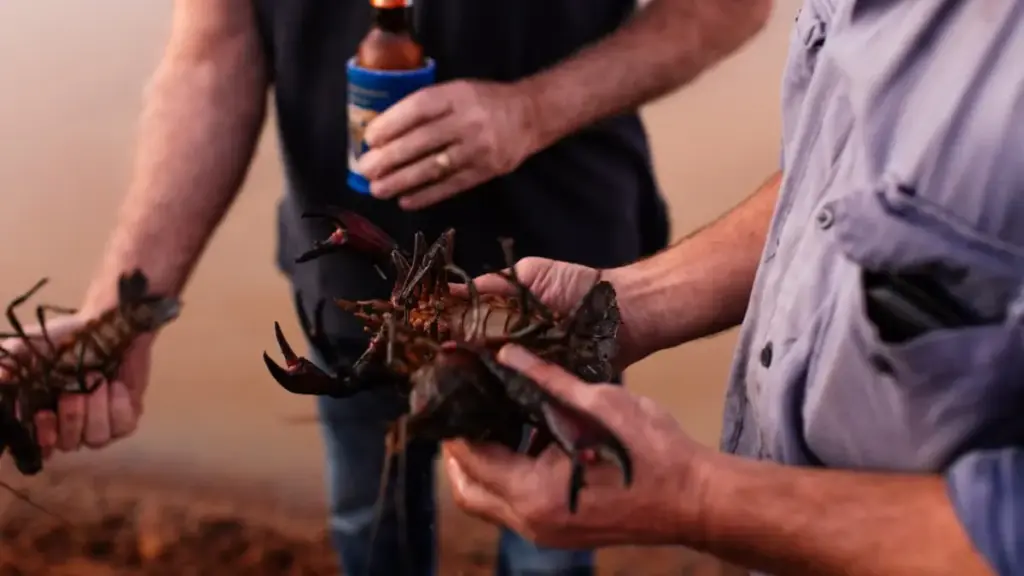 cleaning-raw-freshwater-crustaceans-properly-before-cooking-a-crayfish-thermidor-recipe