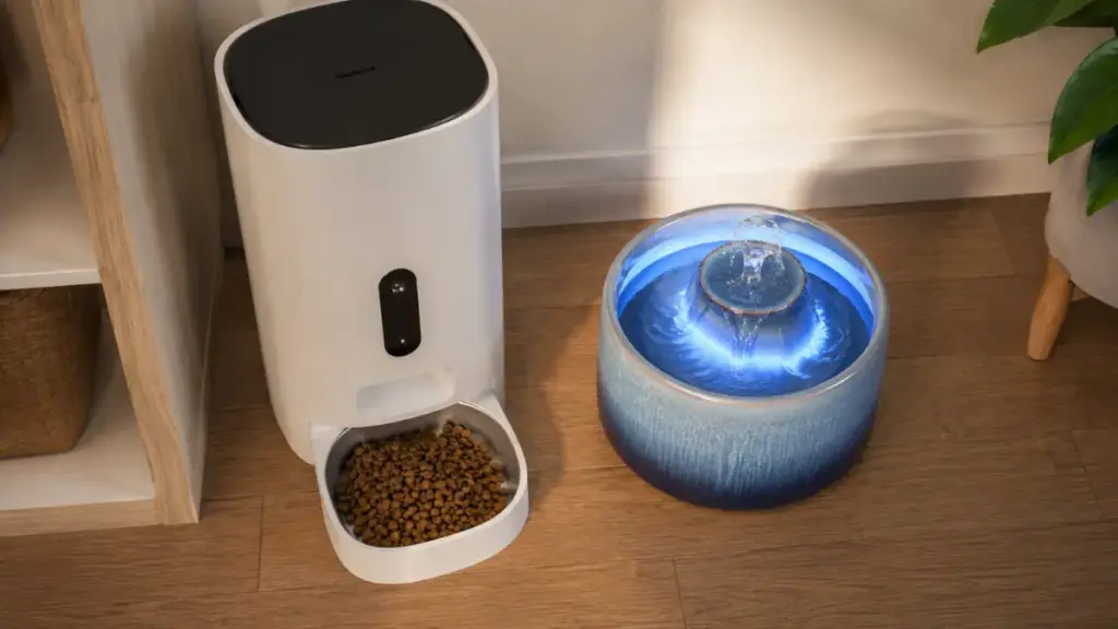 electronic-automatic-pet-feeder-and-ceramic-water-fountain-on-a-floor