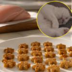 how to make homemade cat biscuit treats for malnourished cats