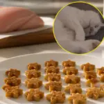 how to make homemade cat biscuit treats for malnourished cats