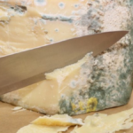 how to store fresh cheese