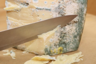 how to store fresh cheese