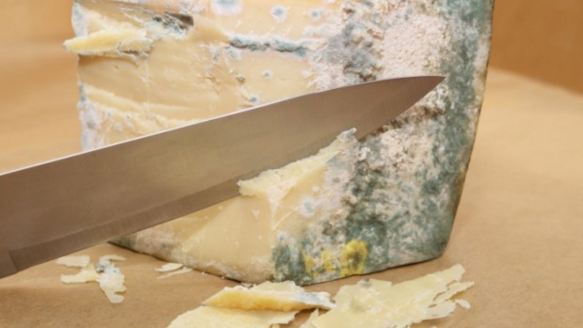 how to store fresh cheese