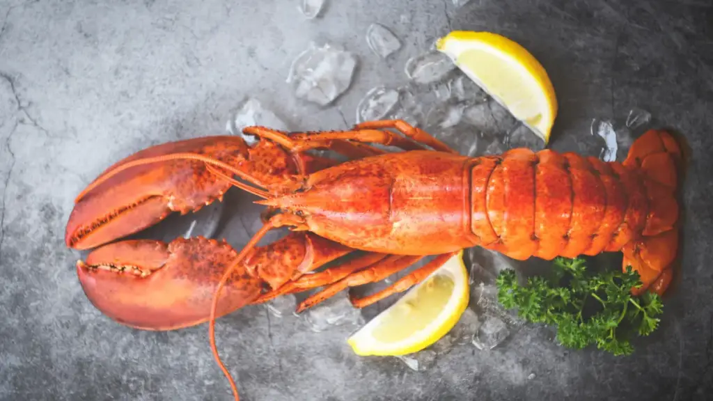 old-parchment-detailing-colonial-prison-diet-regulations-and-food-laws