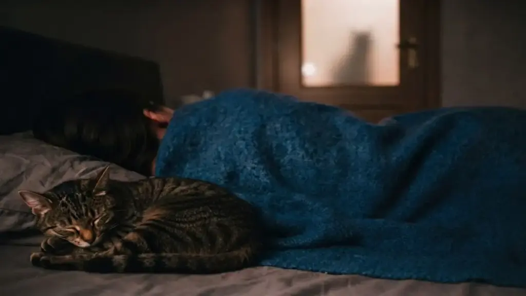 person-sleeping-peacefully-while-ignoring-nighttime-noises-for-cat-training