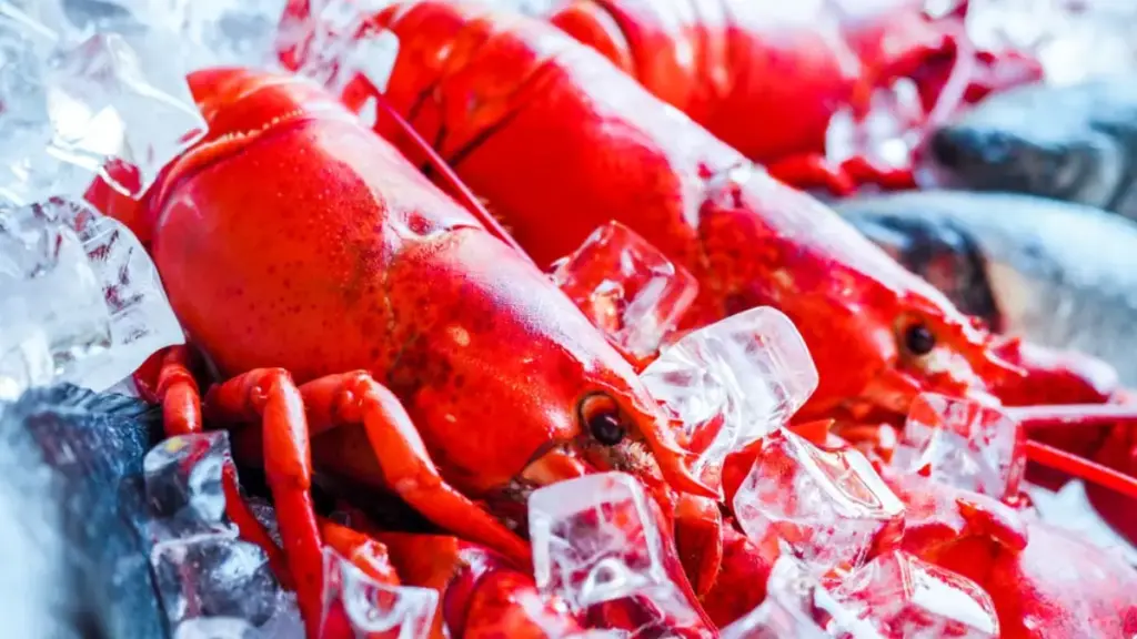 presenting-a-five-star-quality-lobster-thermidor-made-with-minimalist-ingredients