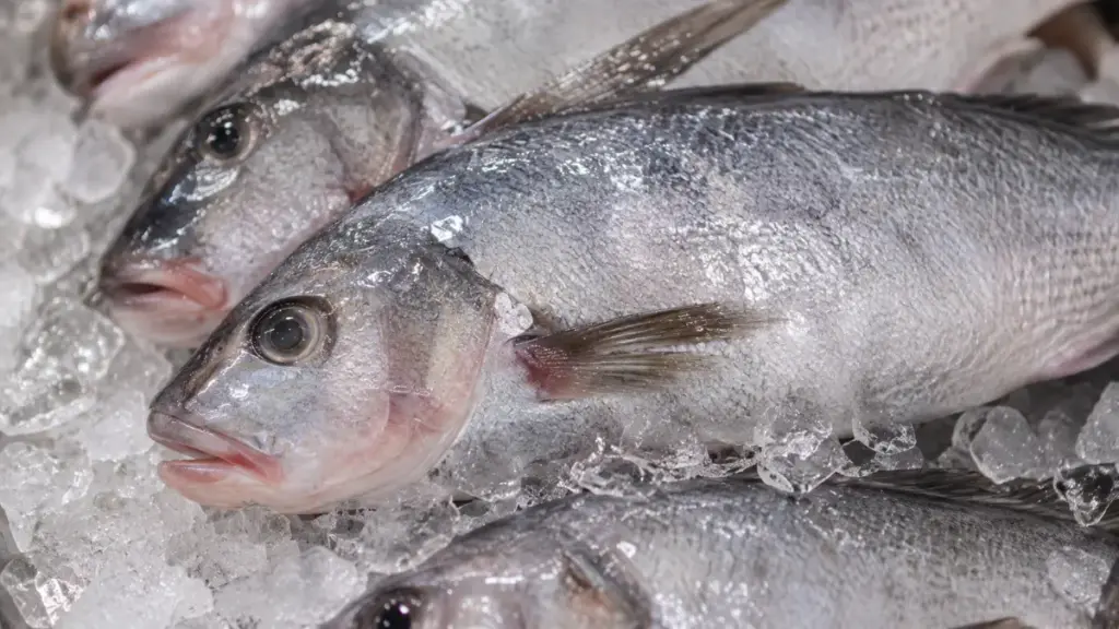  raw-food-dishes-fresh-fish-quality-indicators