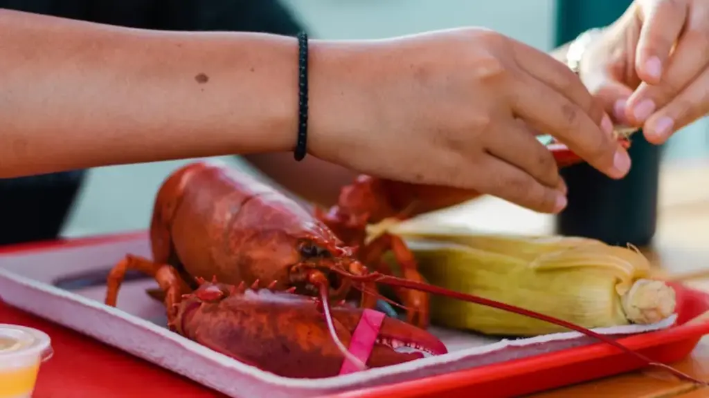 whisking-creamy-mayonnaise-and-dijon-mustard-sauces-for-a-lobster-thermidor-recipe-easy