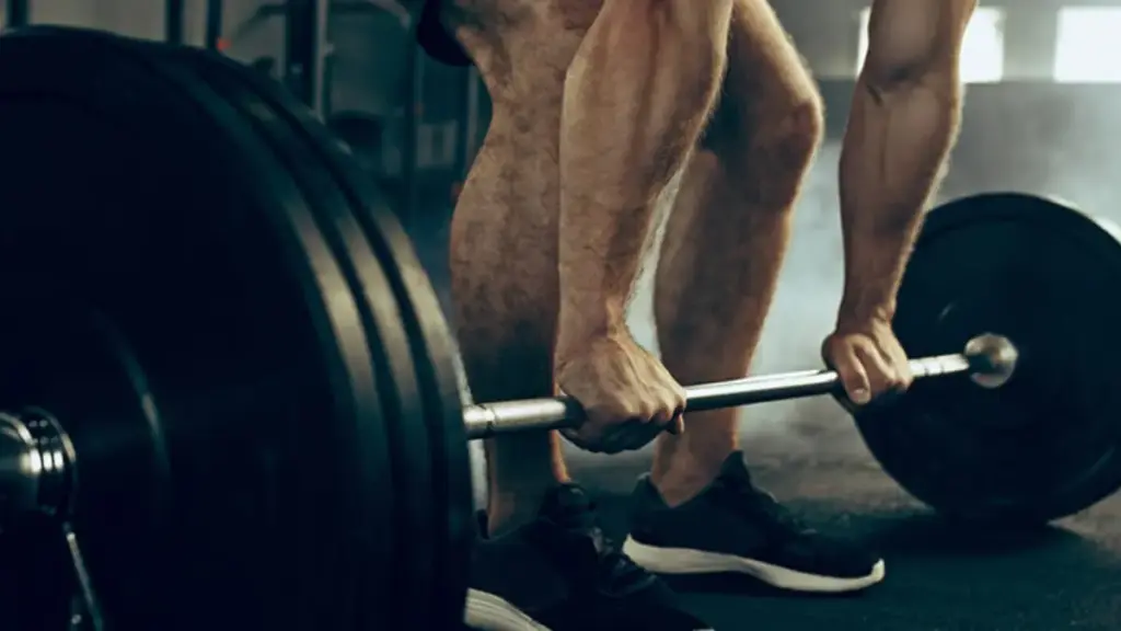 open-biochemistry-manual-showing-muscle-protein-synthesis-pathways-to-disprove-bodybuilding-myths
