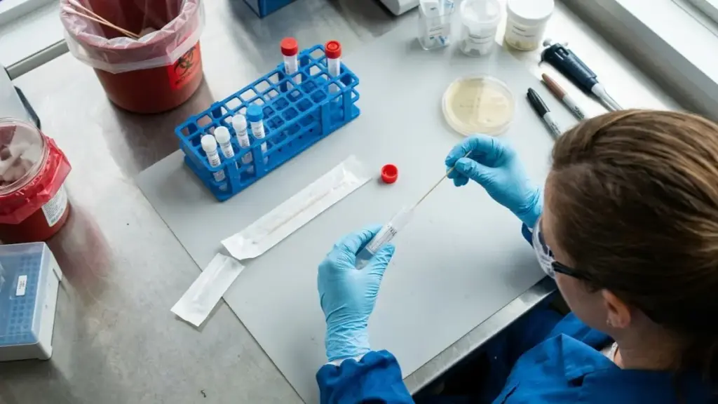 hospital-hygiene-standards-5-star-private-ward-infestations-dr-sarah-jenkins-sterile-swab