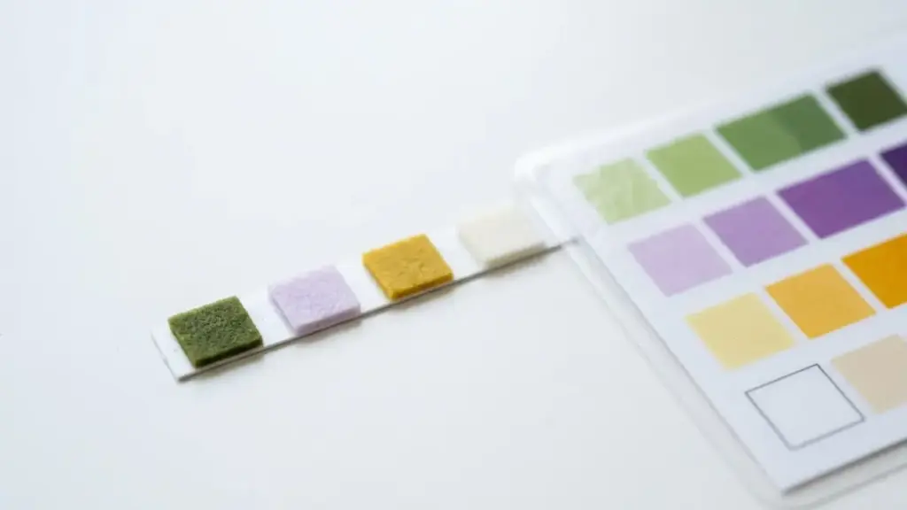 tote-fruity-contamination-kids-health-checks-test-strip-screening